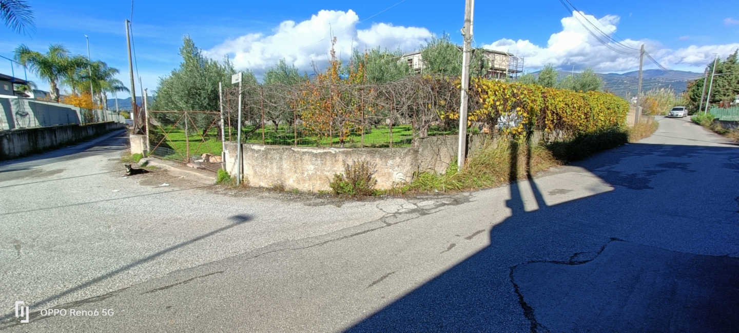 immagine annuncio 5 di 6