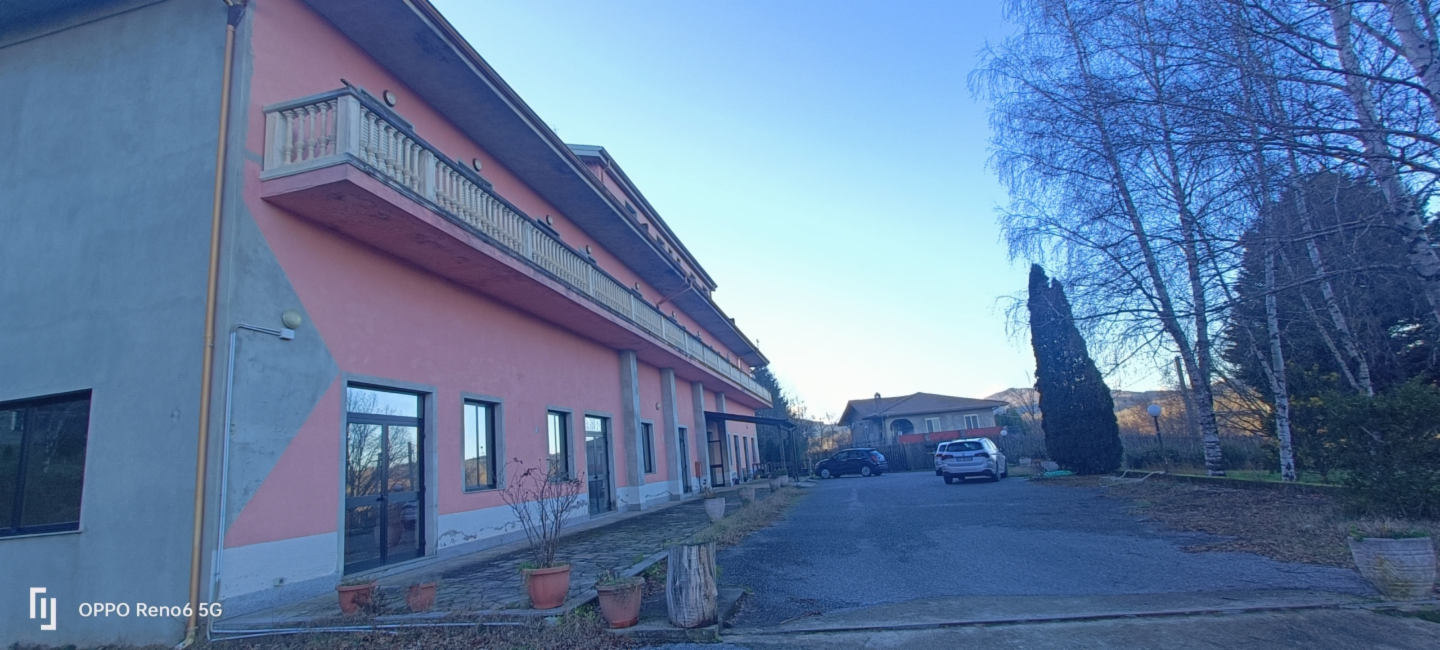immagine annuncio 1 di 10