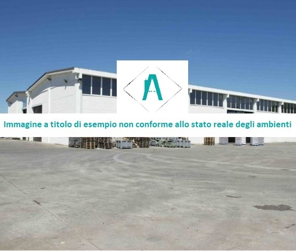 immagine annuncio 1 di 7