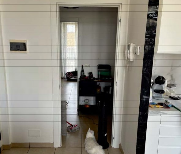 immagine annuncio 2 di 7