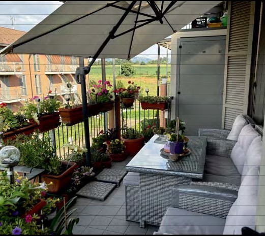 immagine annuncio 7 di 8