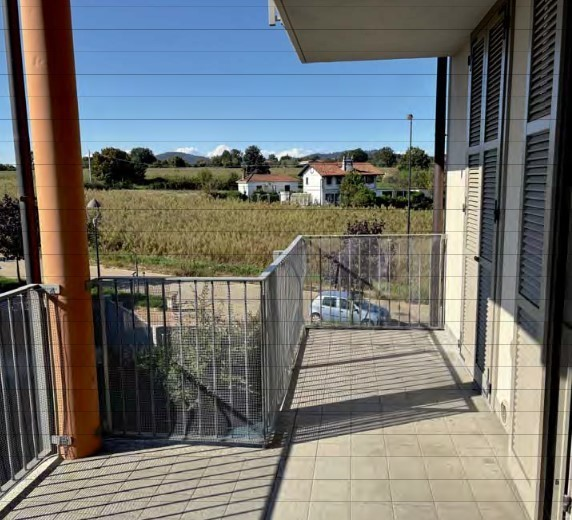 immagine annuncio 6 di 8