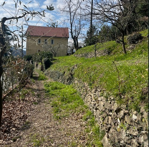 immagine annuncio 6 di 8