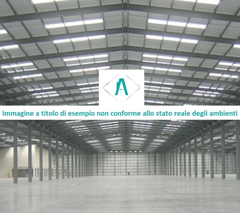 immagine annuncio 3 di 7