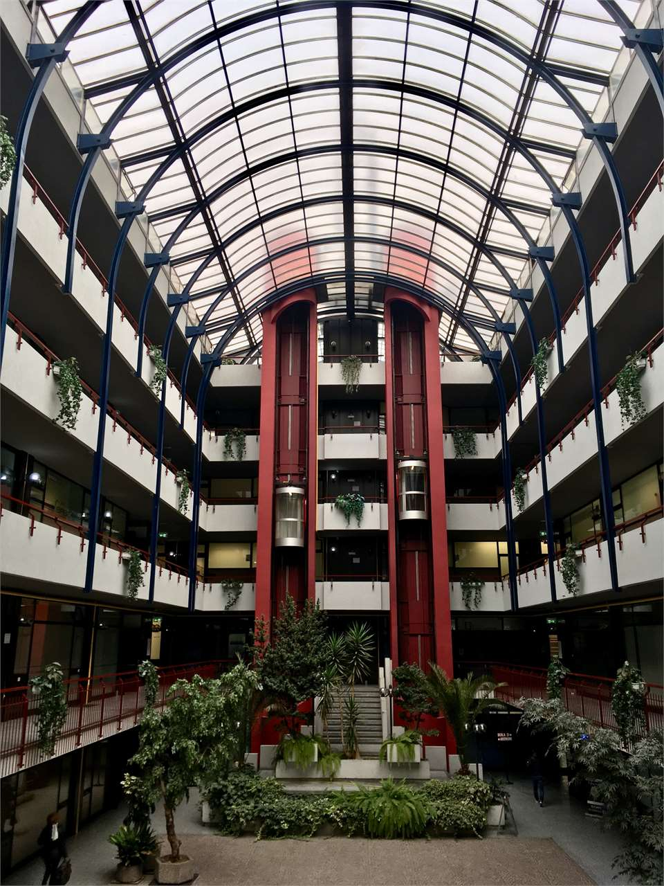 immagine annuncio 6 di 9