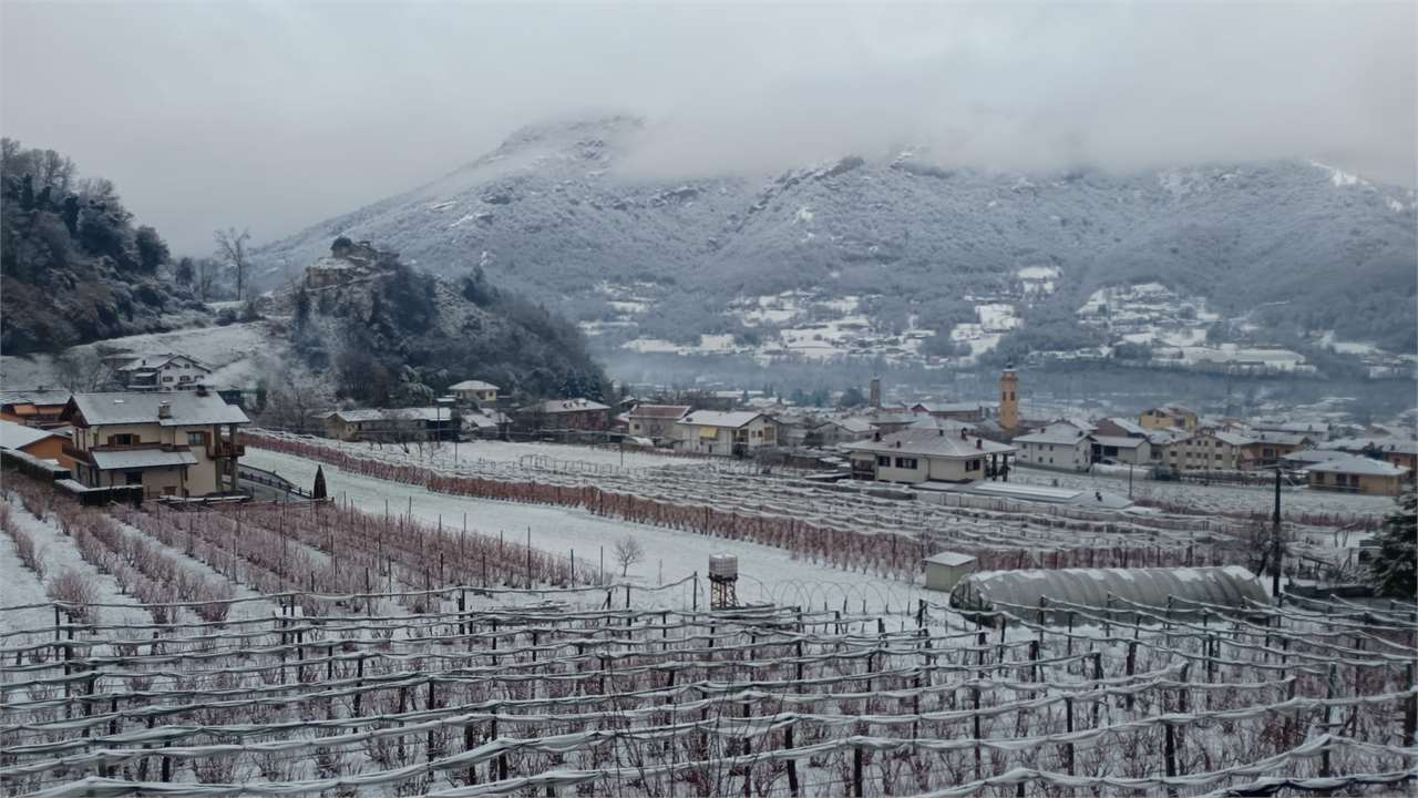 immagine annuncio 3 di 10