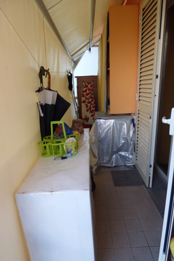 immagine annuncio 4 di 7