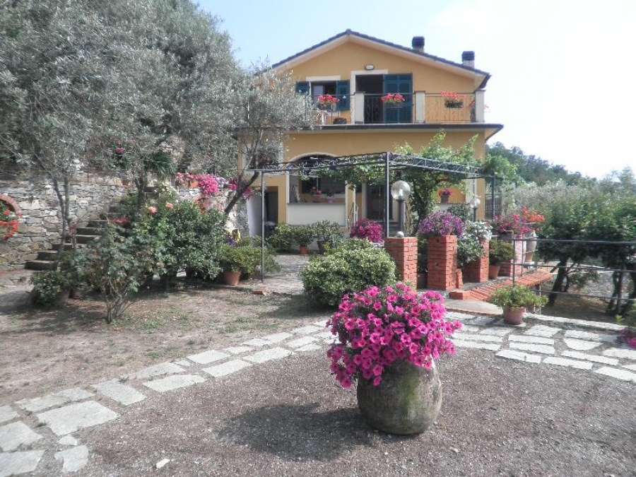 immagine annuncio 7 di 8