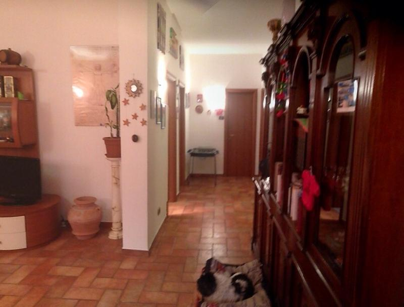 immagine annuncio 6 di 7