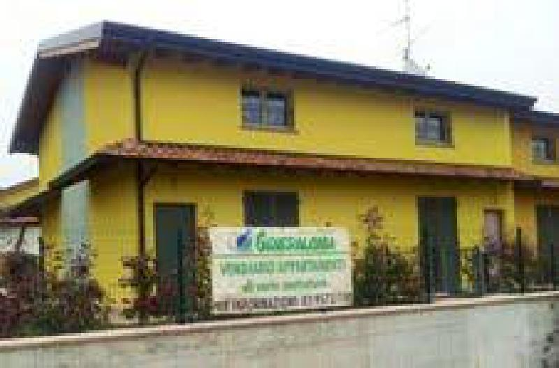 immagine annuncio 1 di 6