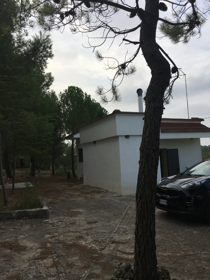immagine annuncio 2 di 7