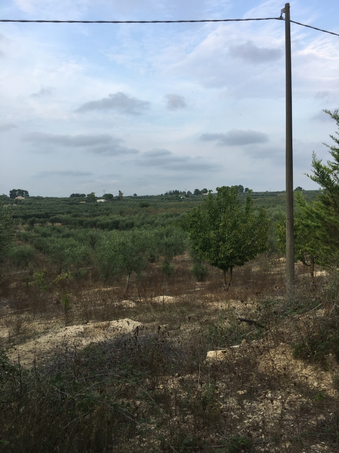 immagine annuncio 6 di 7