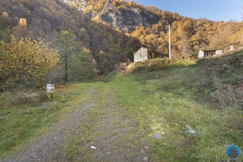 immagine annuncio 3 di 7