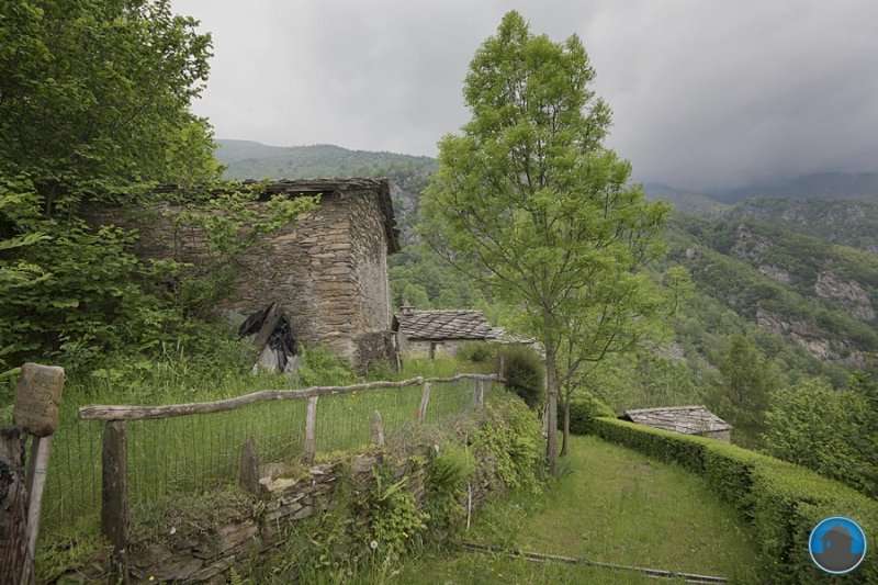 immagine annuncio 5 di 6