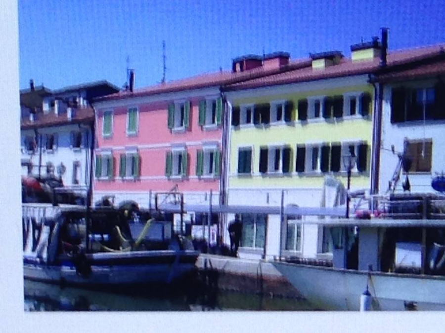immagine annuncio 2 di 4