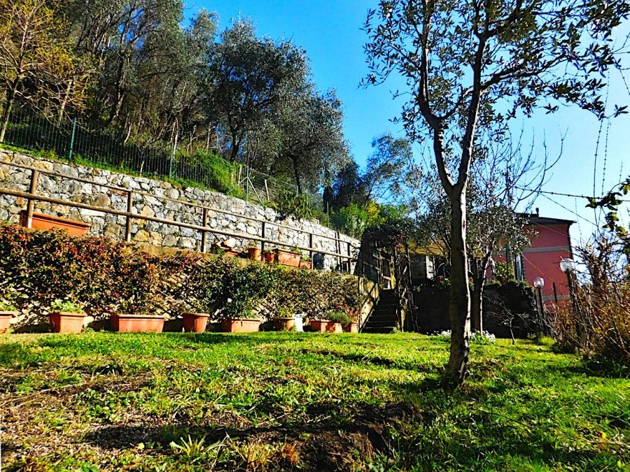immagine annuncio 1 di 8