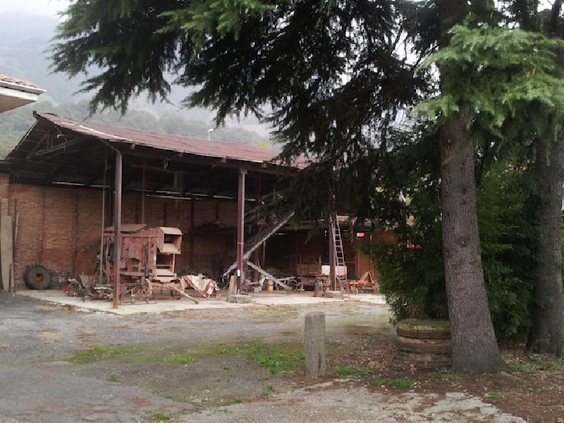 immagine annuncio 2 di 3