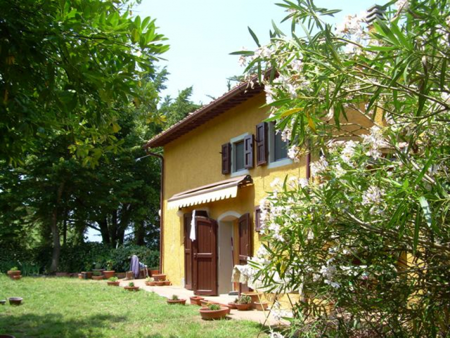 immagine annuncio 6 di 9