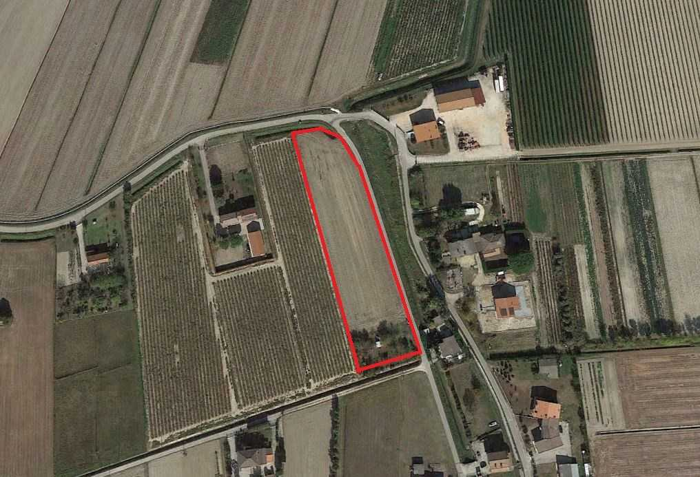 immagine annuncio 2 di 3
