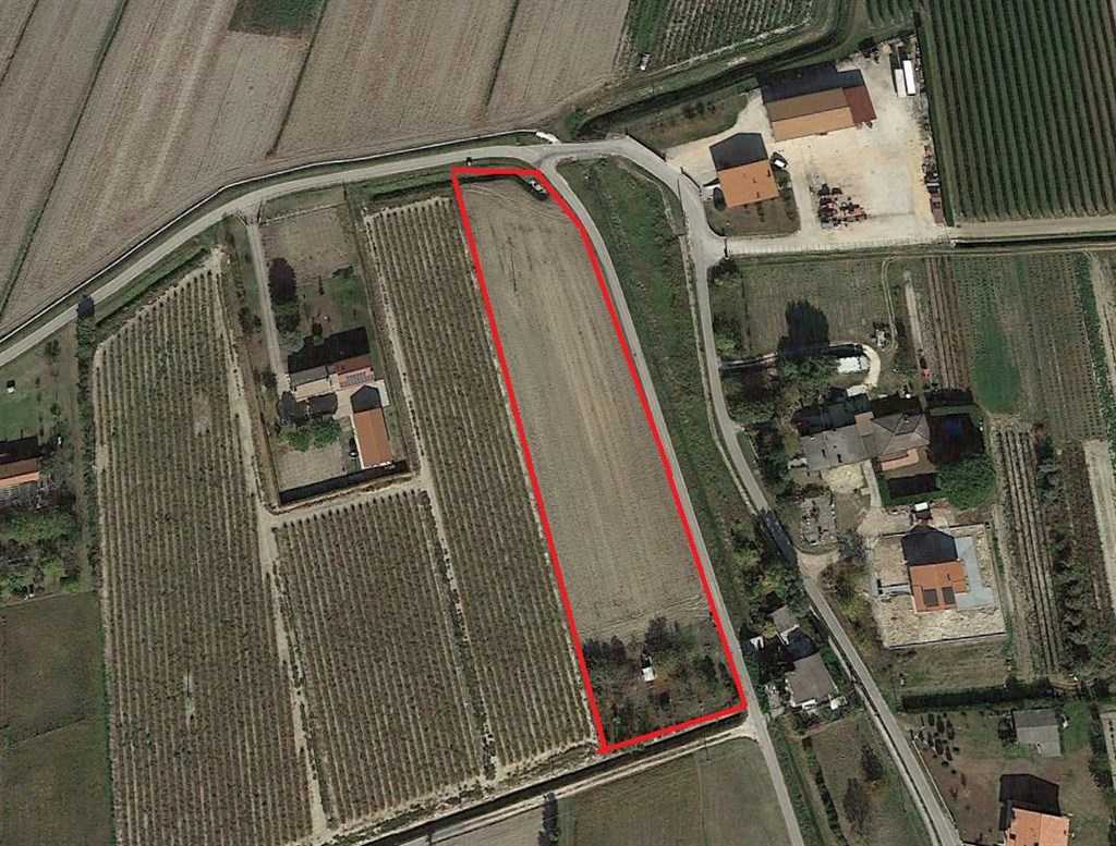 immagine annuncio 1 di 3