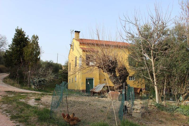 immagine annuncio 6 di 8