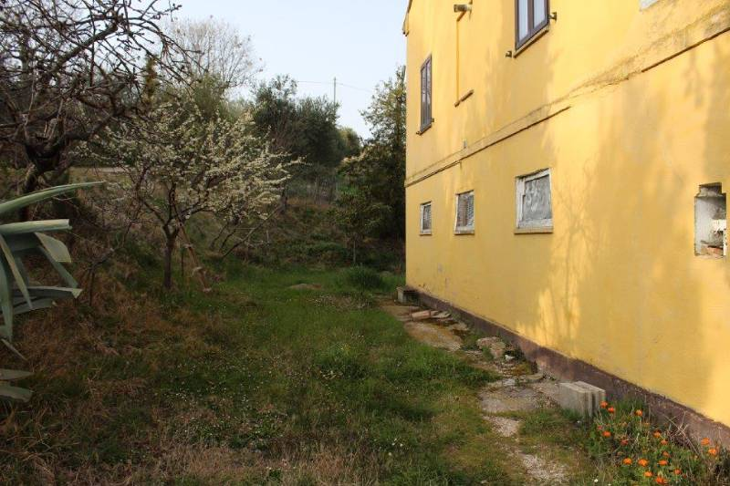 immagine annuncio 5 di 8