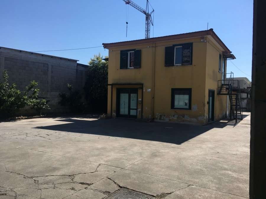 immagine annuncio 3 di 10