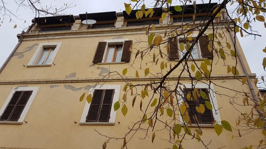 immagine annuncio 4 di 8