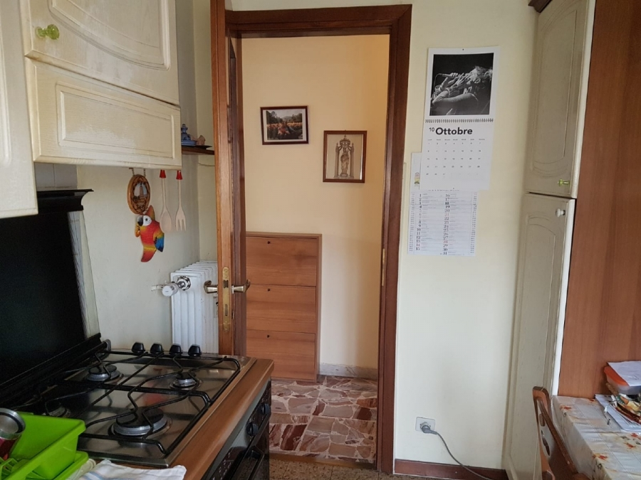 immagine annuncio 4 di 7