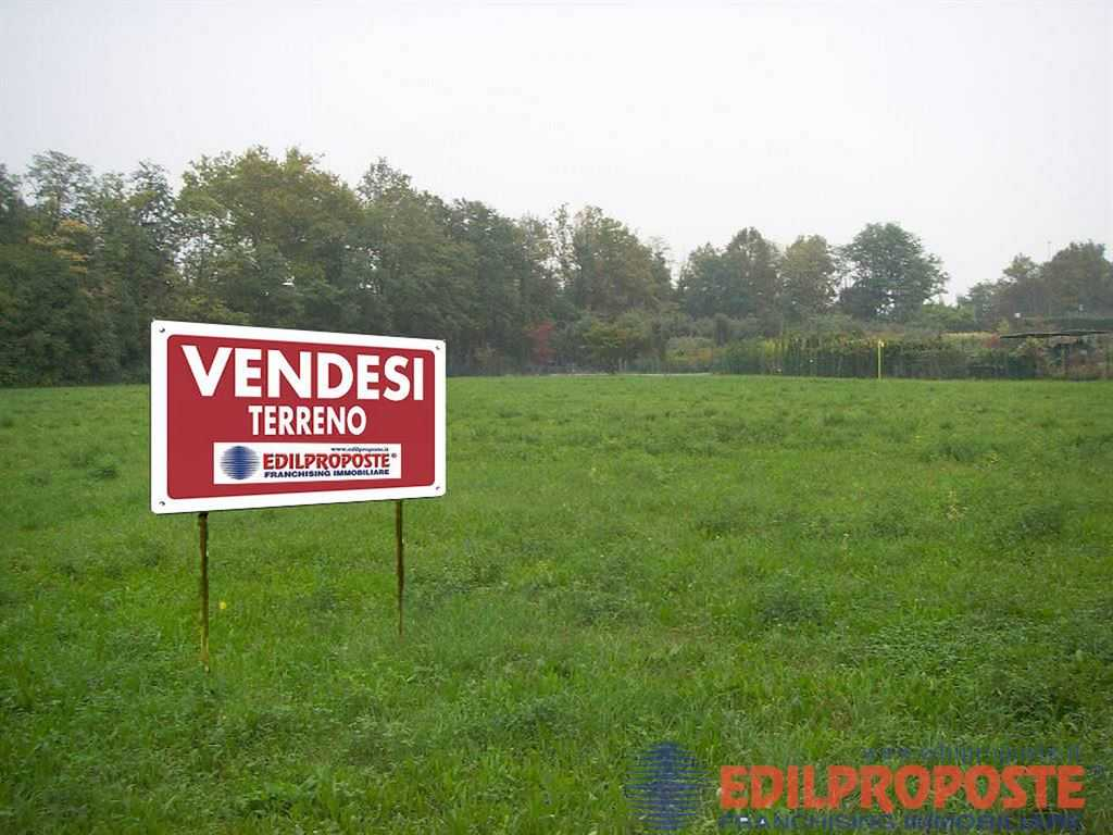 immagine annuncio 2 di 7