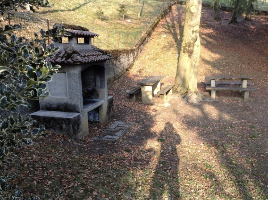 immagine annuncio 3 di 9