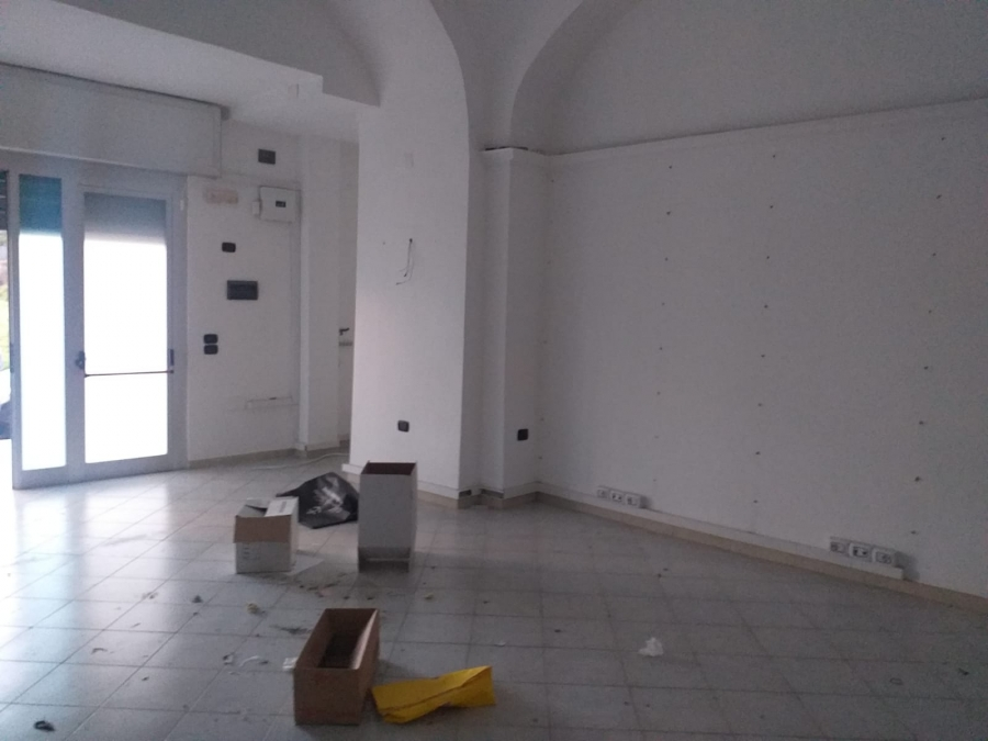 immagine annuncio 1 di 4