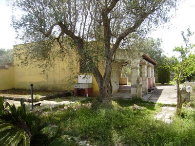 immagine annuncio 6 di 10