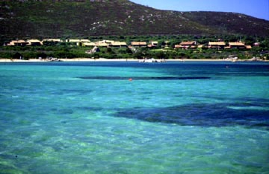 immagine annuncio 3 di 6