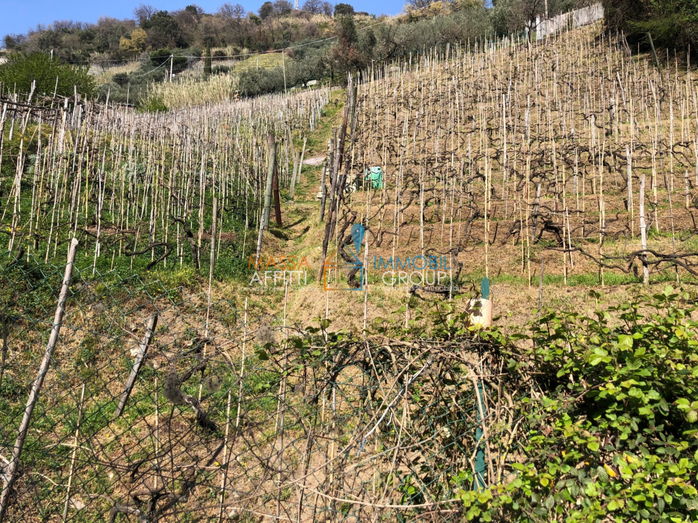 immagine annuncio 9 di 10