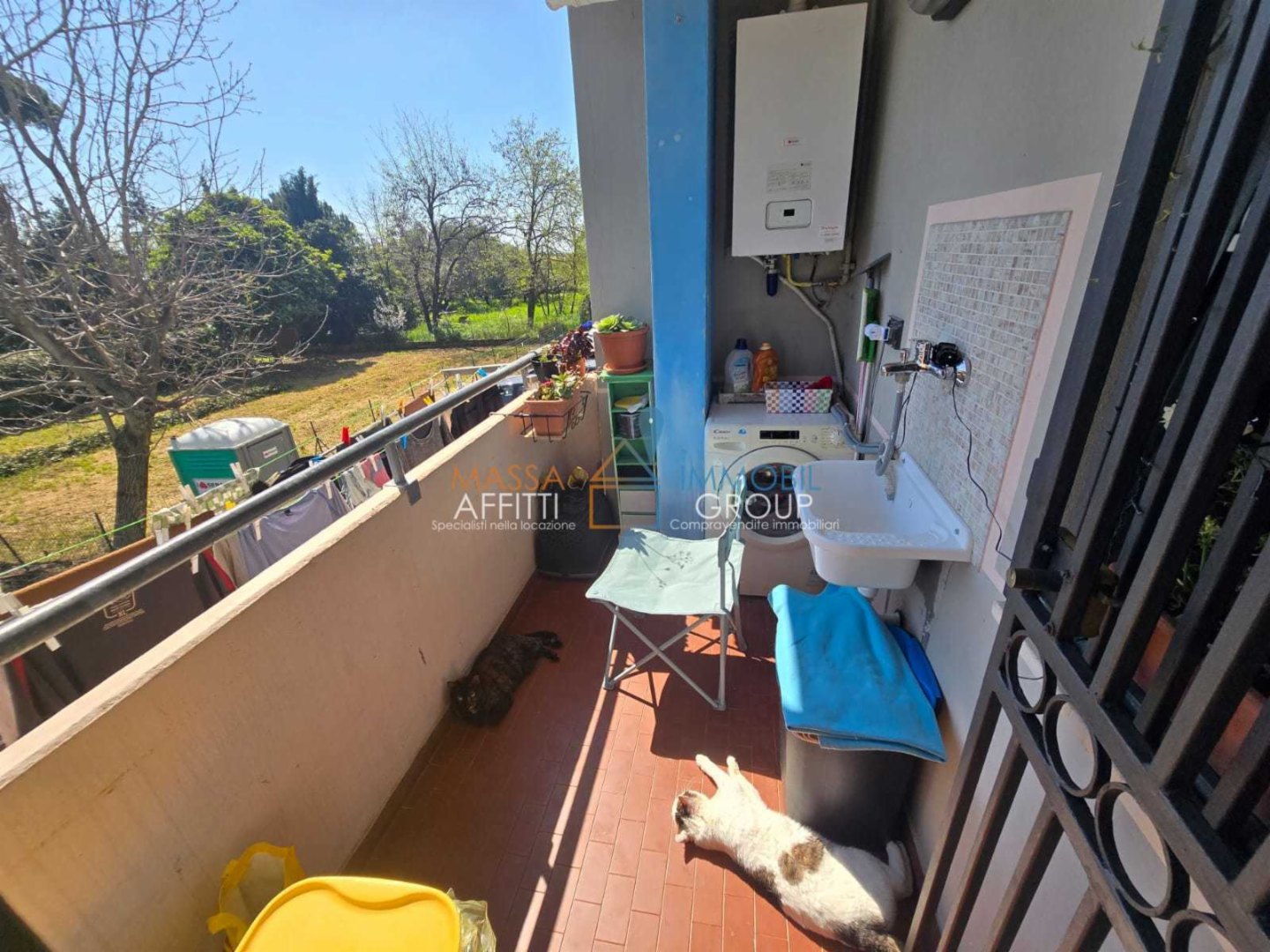 immagine annuncio 9 di 10