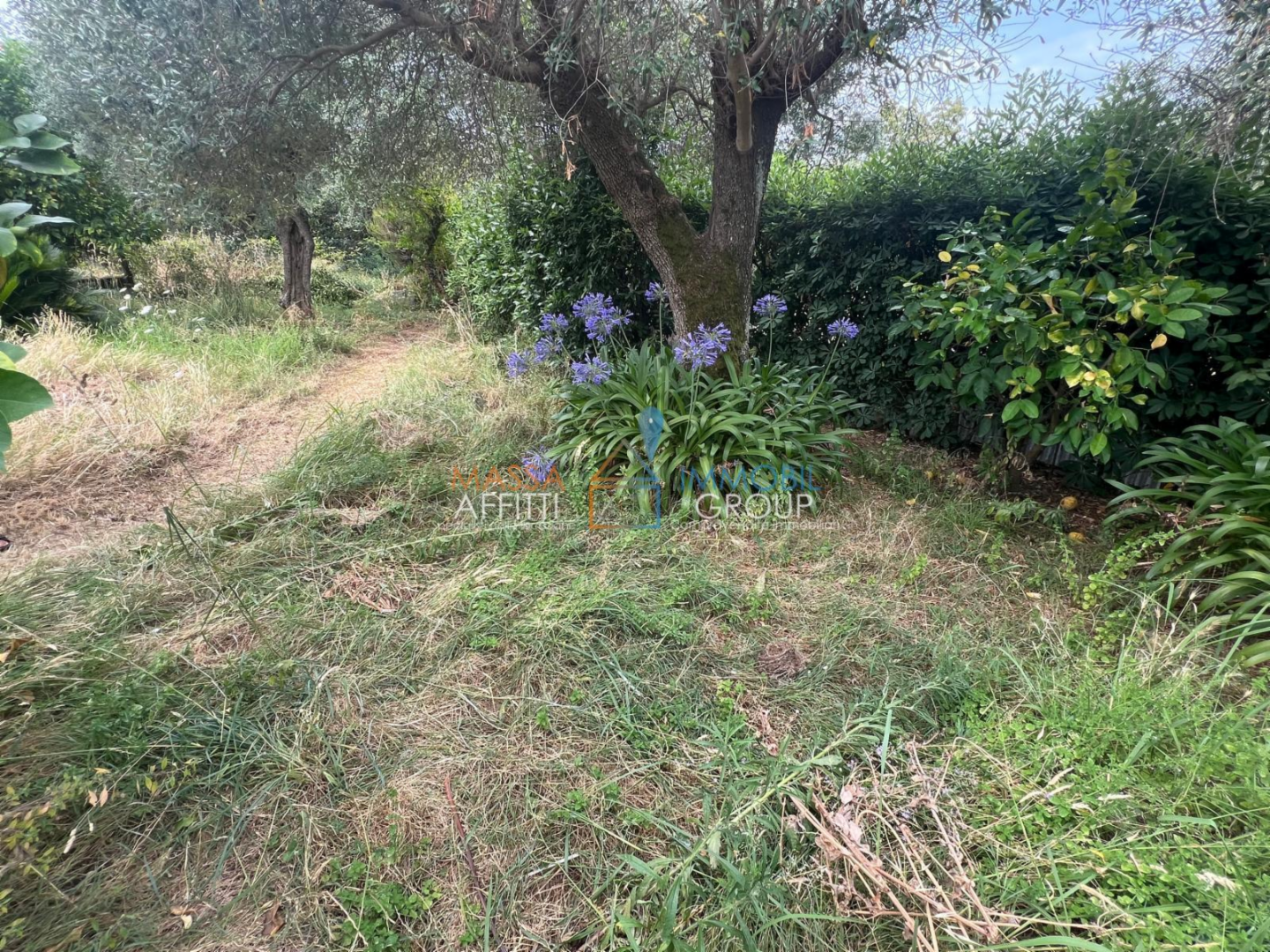 casa semindipendente in vendita a Massa