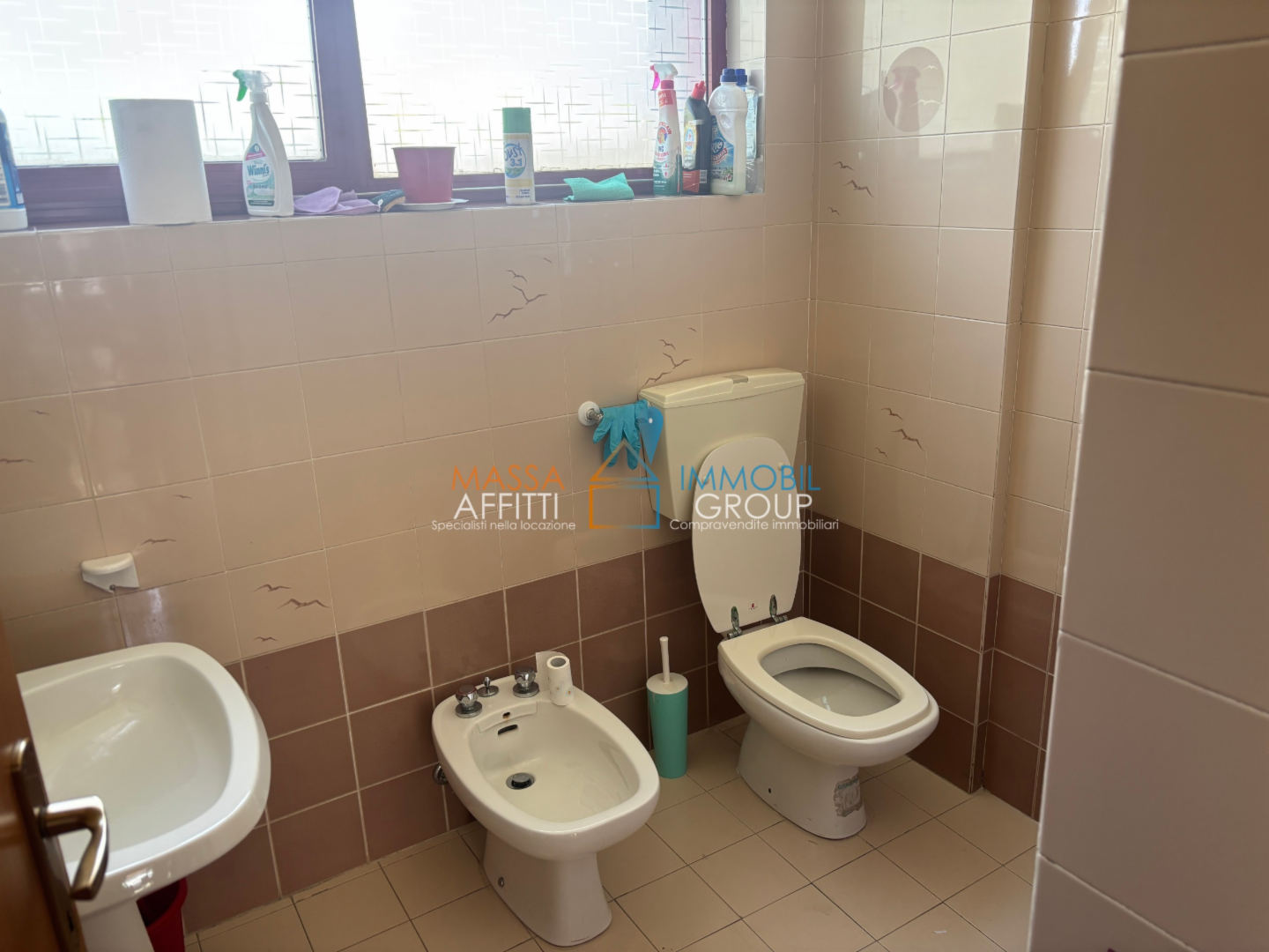 immagine annuncio 7 di 8
