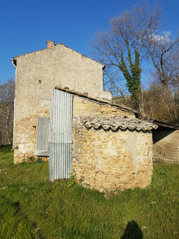 immagine annuncio 2 di 6