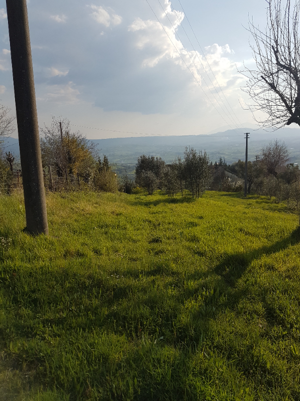 immagine annuncio 3 di 6