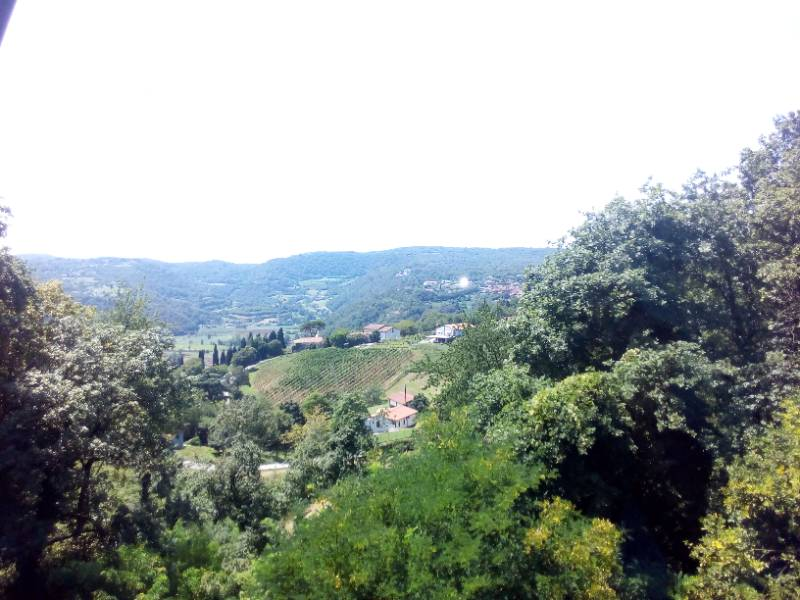 immagine annuncio 3 di 4