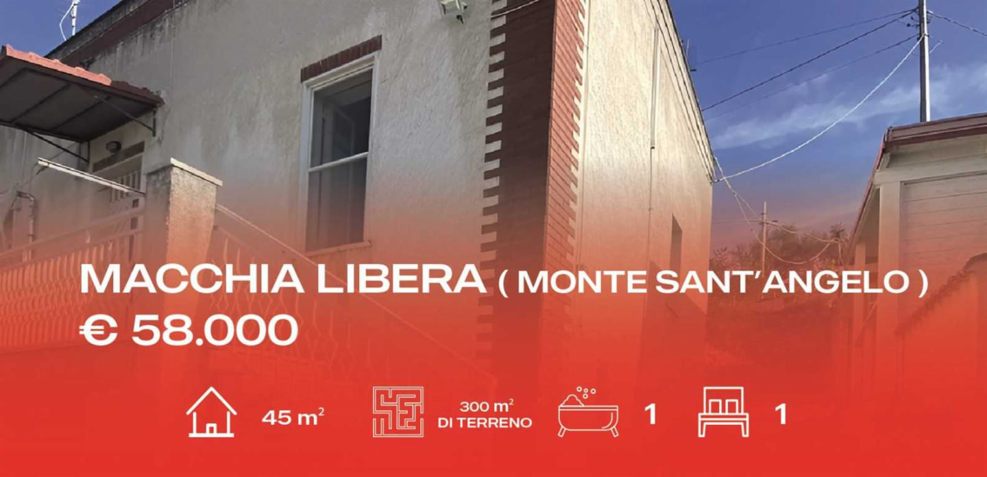 immagine annuncio 1 di 10