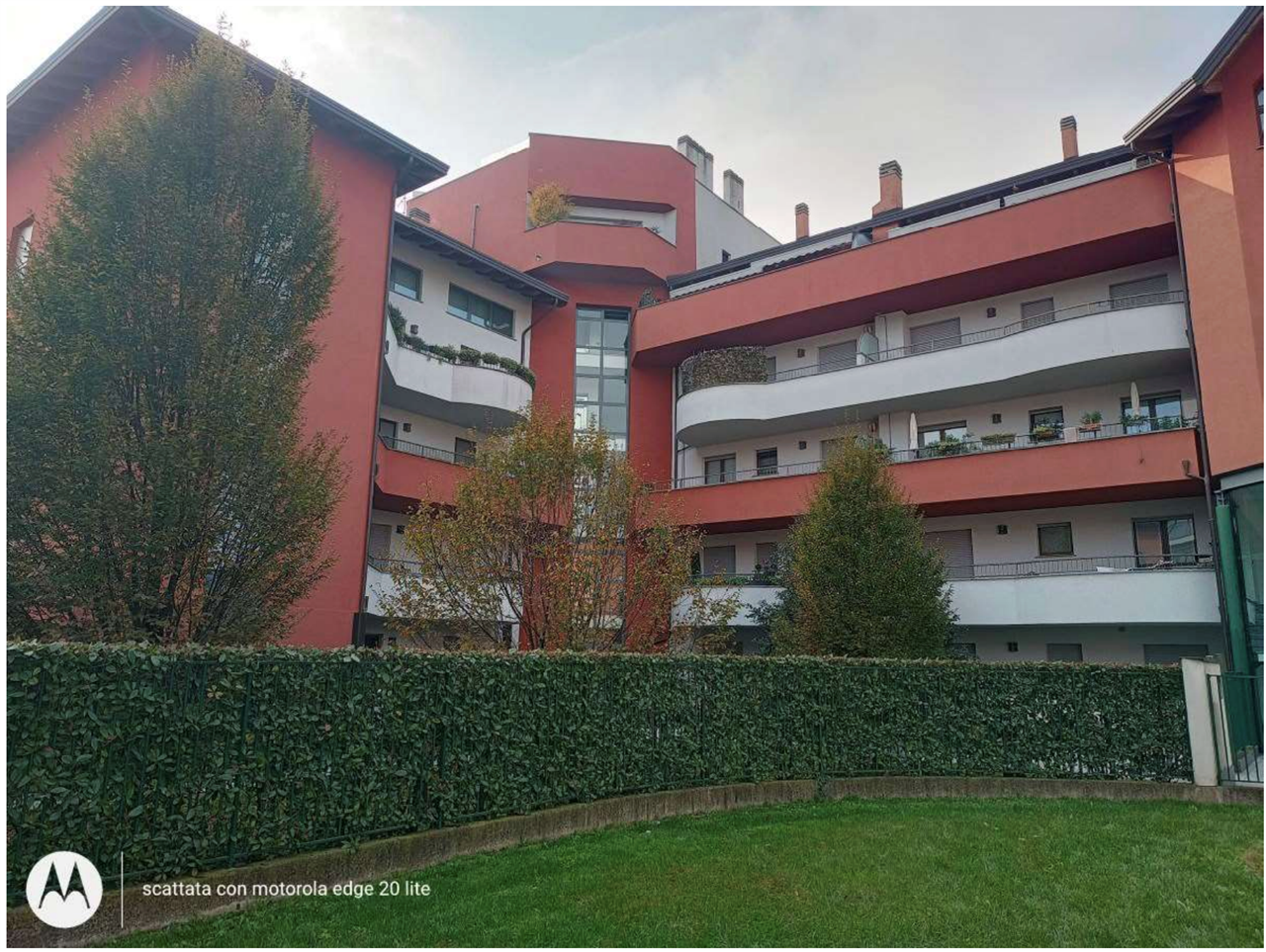 immagine annuncio 1 di 10