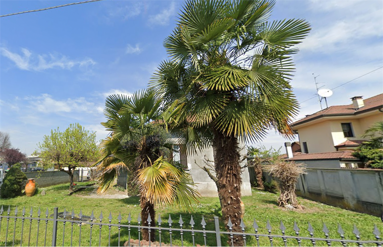 immagine annuncio 2 di 10