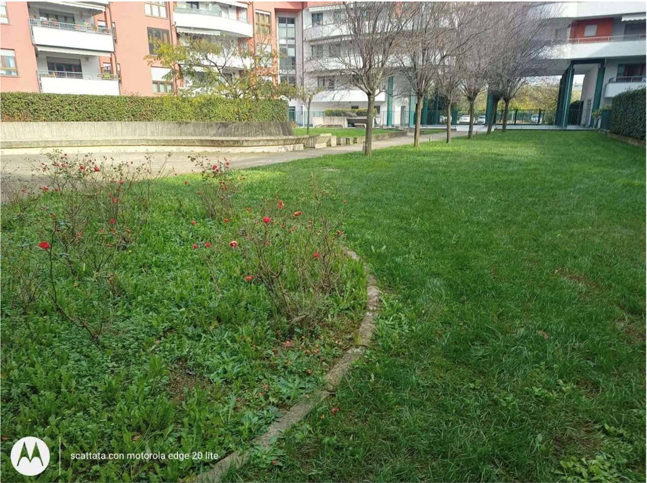 immagine annuncio 4 di 10