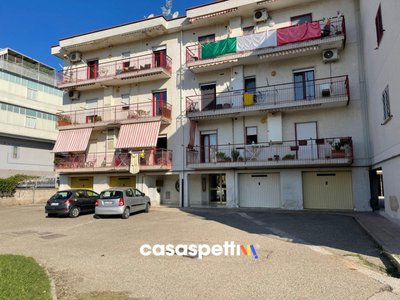immagine annuncio 1 di 3