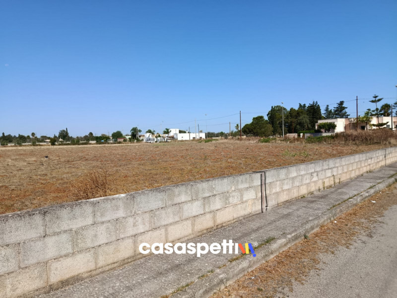 immagine annuncio 9 di 10