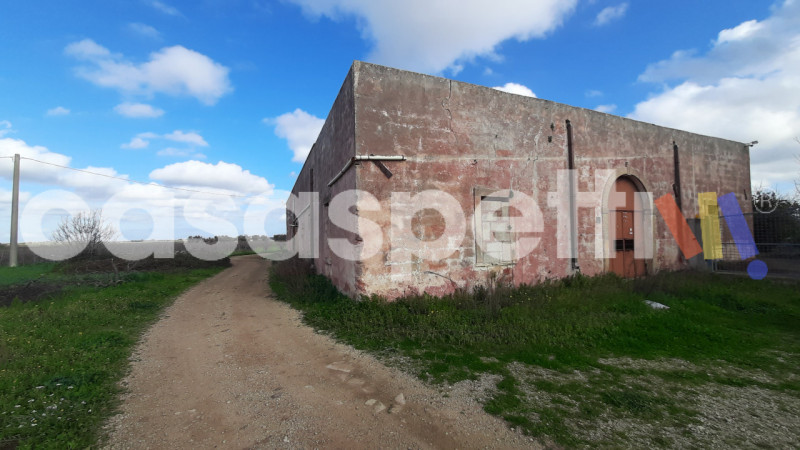 immagine annuncio 3 di 10