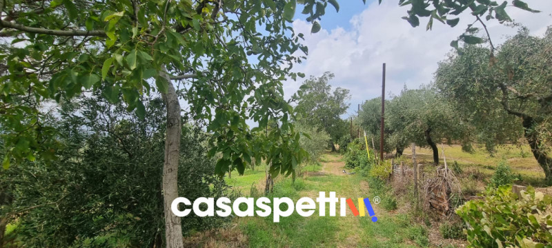 immagine annuncio 8 di 9