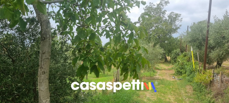 immagine annuncio 7 di 9